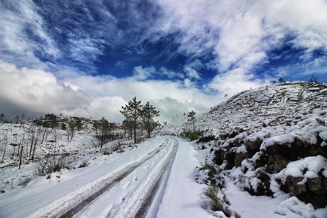 The Best of Peneda Gerês National Park From Porto - Wildlife and Nature Encounters