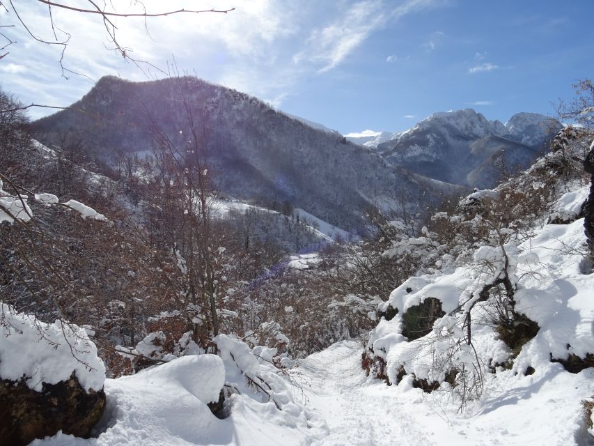 The Border: Fuentes De Invierno Snowshoe Walk - Safety and Requirements