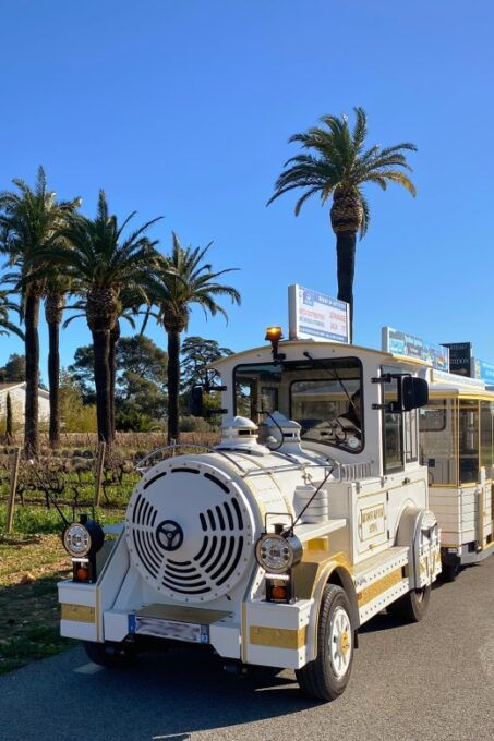 The Little Train of La Londe-les-Maures - Booking Information