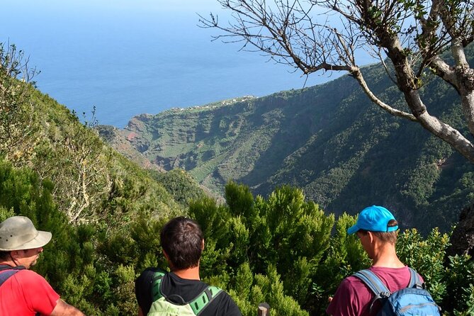 Thematic Hiking Route La Zarza in La Palma - Cancellation Policy and Refunds