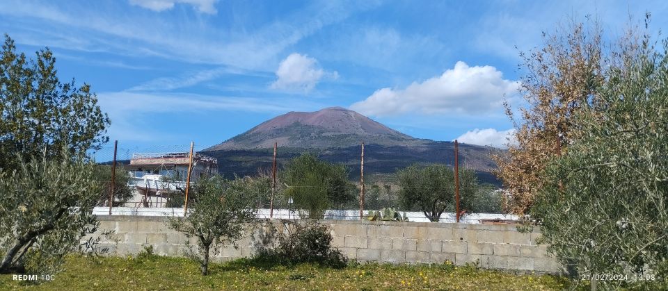 Tour Pompeii and Vesuvius Winery Experience From Naples - Pickup Locations