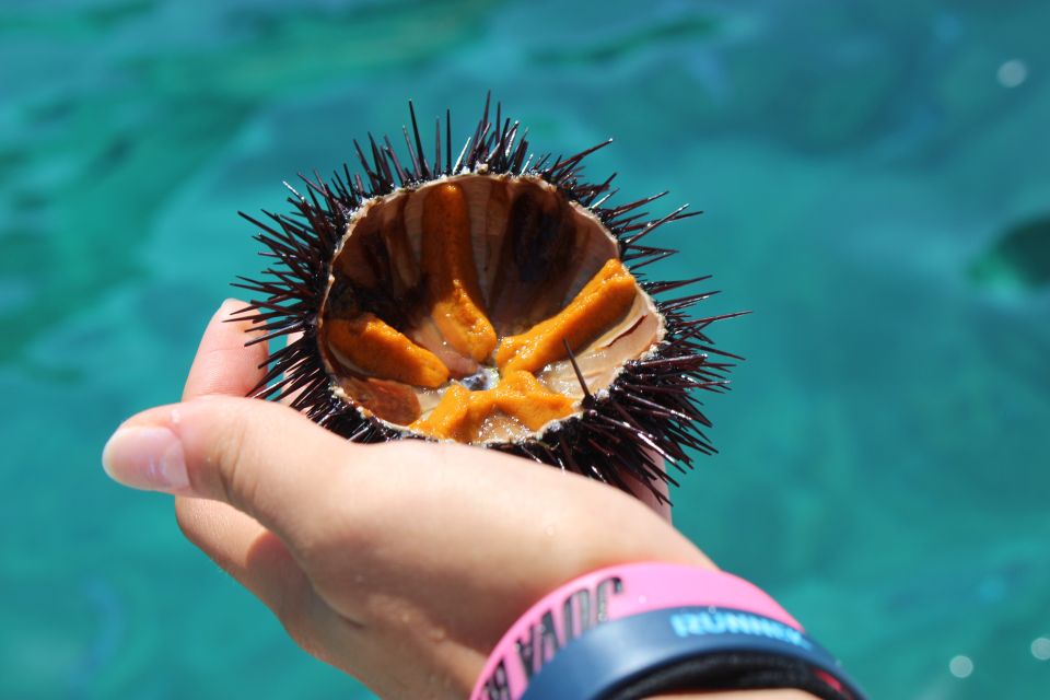 Tropea: Private Boat Rental With Skipper and Snacks - Meeting Point