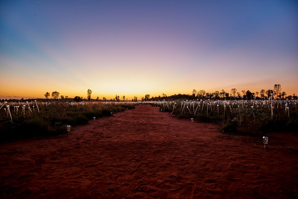 Uluru: Field of Light Sunrise Tour With Hot Drinks - Itinerary Highlights