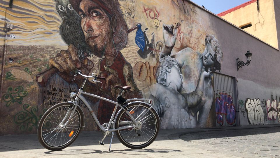 Valencia: Street Art Bike Tour - Art Highlights