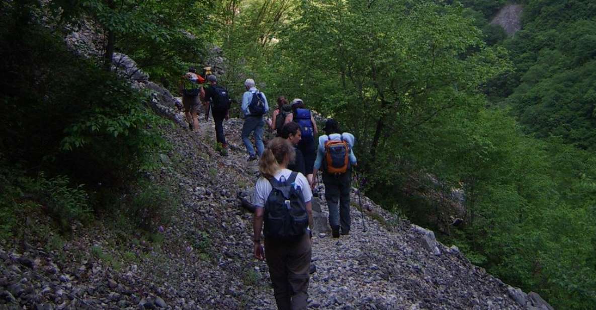 Vikos Gorge Full-Day Guided Hike - Rare Flora and Fauna Discovery