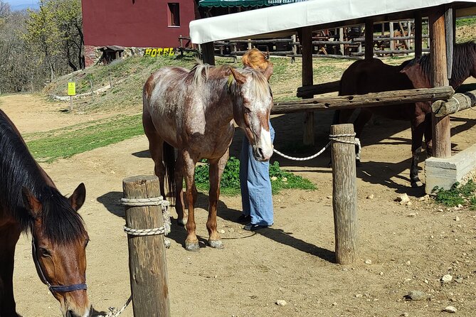 Visit a Farm and Horseback Riding in Nature - Nature Trail Exploration