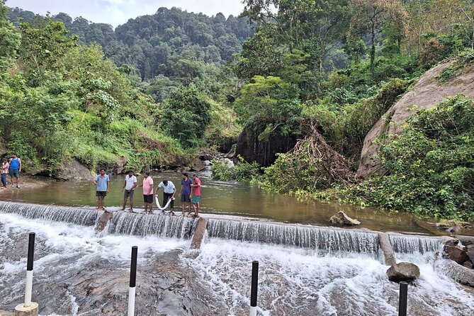 Wild Elephant Anakulam & Waterfalls Tour(Munnar Valley Trekking) - Contact Information