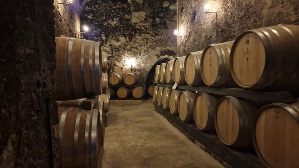 Wine Tasting in Montepulciano Tuscany Private Tour From Rome - Booking Information