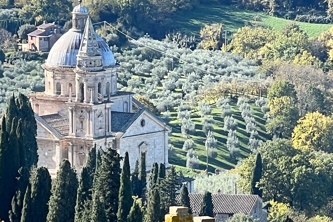 Wine Tasting in Montepulciano With Visit to the Vineyards Private Tour - Tour Itinerary