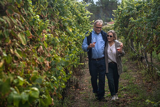 Wine Tasting & Lunch From Porto Quinta De Santa Cristina - Customer Reviews