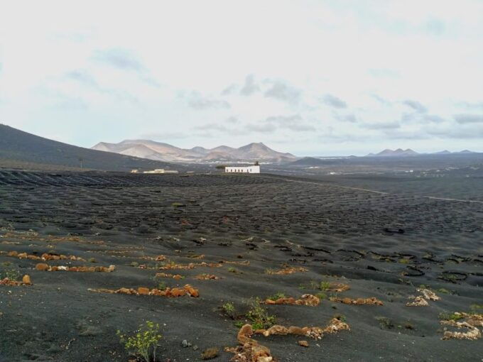 Winetourism in Lanzarote: the First Vineyards in Masdache - Inclusions