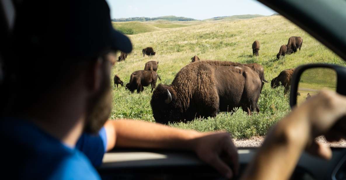 Yellowstone: Self-Guided Tour of National Park Highlights - Inclusions