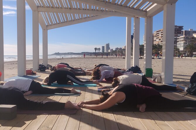 Yoga and Meditation Class in Front of the Sea and the Mountains in Alicante - Expectations and Requirements