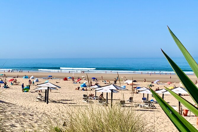 2 Hours Surf Rentals in Costa Da Caparica - Pricing and Booking Information