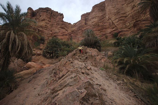 3-Day Small-Group Guided Hiking Expedition in the Sinai Desert - Common questions