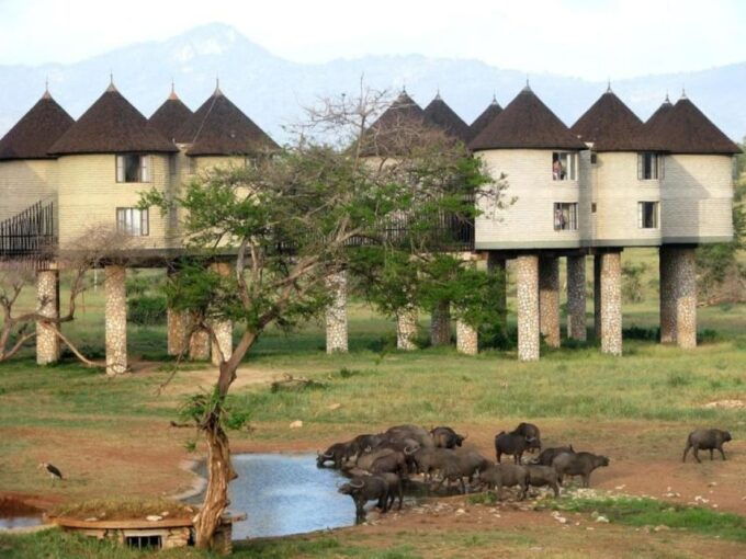 3 Days Safari to Saltlick Lodge From Nairobi - Transportation Information