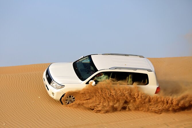 4-Hour Private Morning Desert Safari Jeep Admiring Desert Flora and Fauna - Inclusions and Exclusions