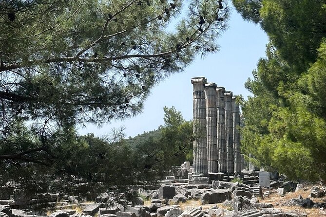 5 Hours Priene-Miletos-Didyma Customisable Private Tour - Customer Reviews