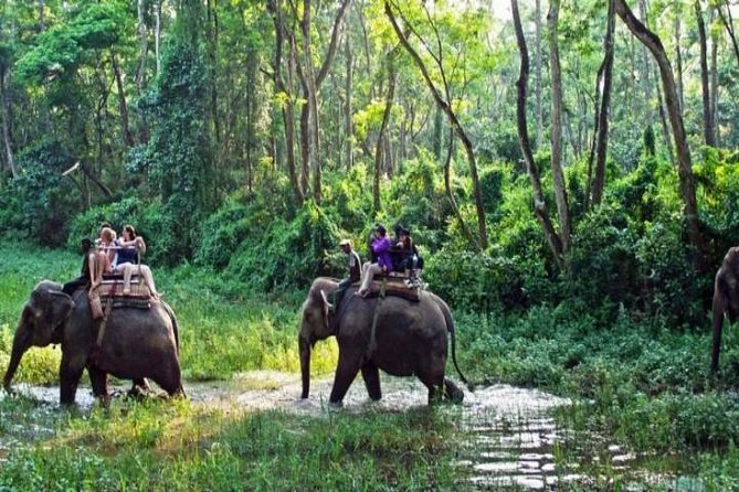 7 Nights 8 Days Kathmandu Pokhara and Chitwan Tour in Nepal - Booking Process and Requirements