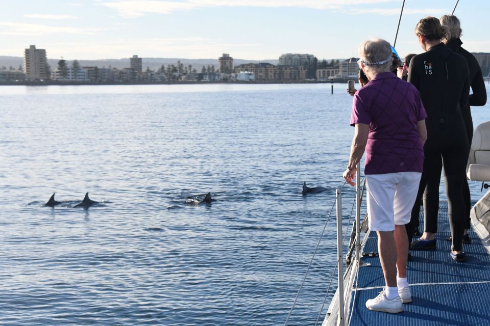 Adelaide: 3.5-Hour Guaranteed Wild Dolphin Watching Cruise - Additional Information