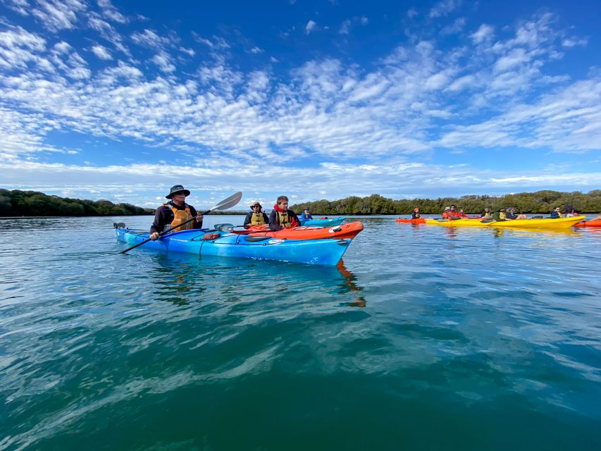 Adelaide: Dolphin Sanctuary Mangroves Kayak Tour - Common questions