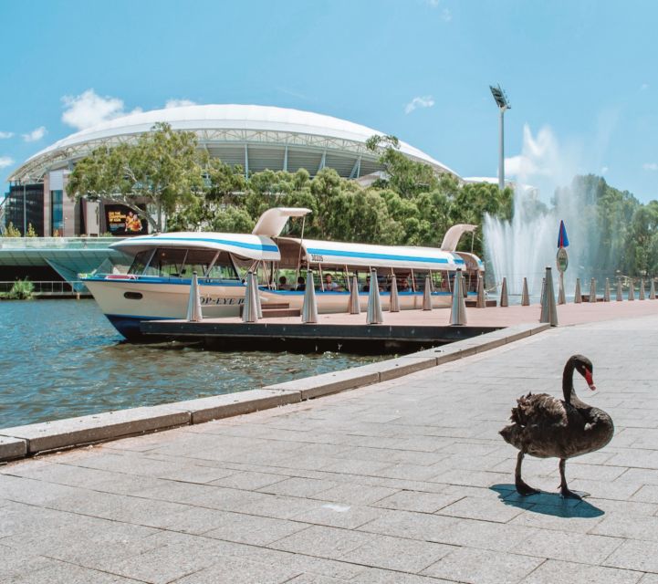 Adelaide: River Torrens Popeye Devonshire Tea Cruise - Meeting Point Information