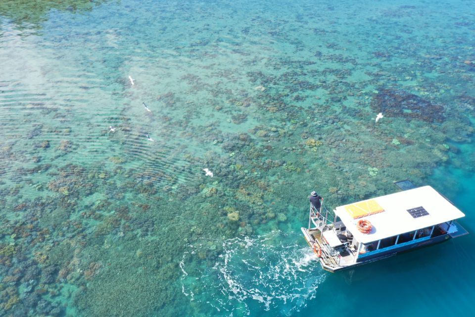 Airlie Beach: Glass-Bottom Boat Tour - Last Words