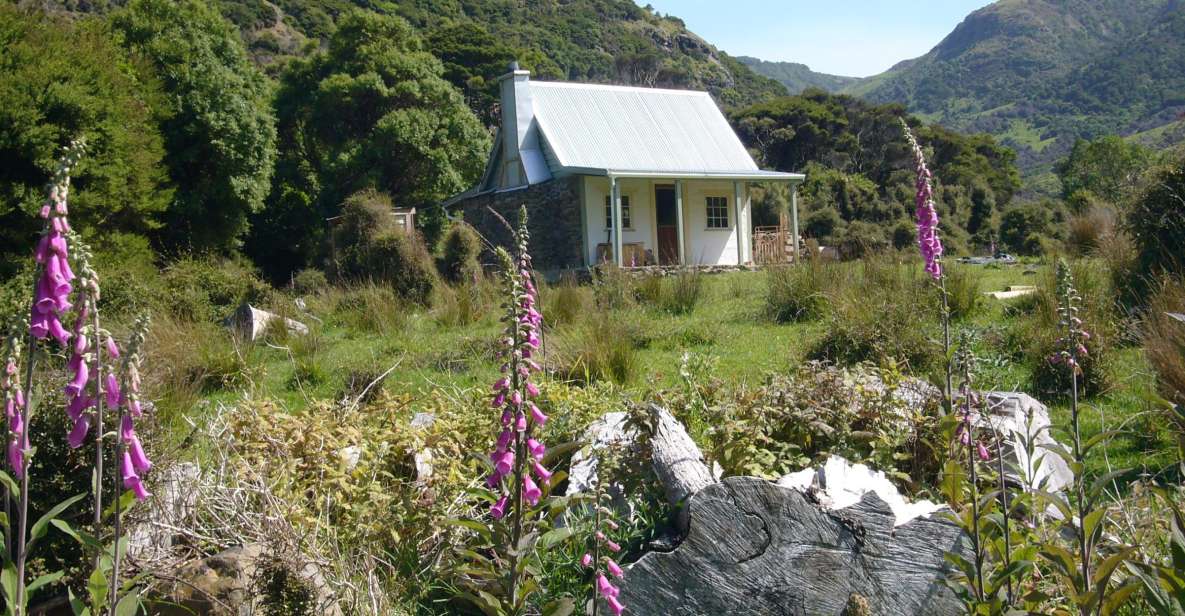 Akaroa: 24-hour Overnight Pohatu Penguin Package - Common questions