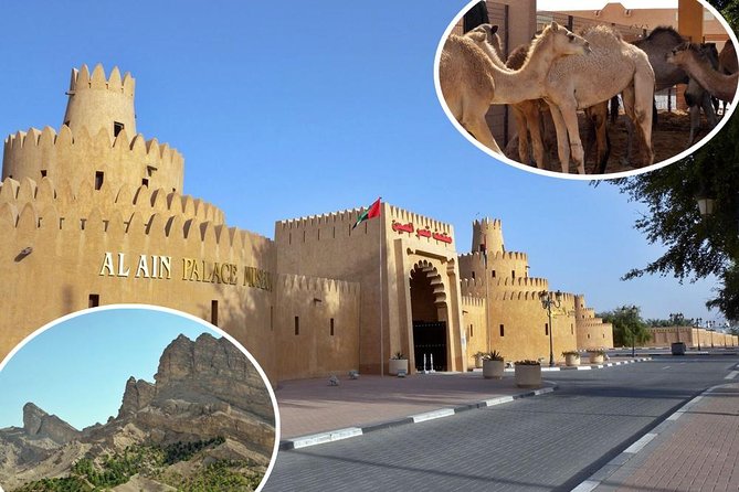 Al Ain City Tour From Dubai (Kids Friendly)