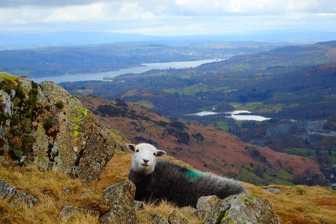 Ambleside to Windermere Mini Tour - Includes Stop at Golden Rule - Cancellation Policy