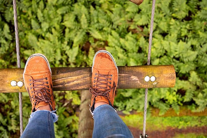 Ambleside Woodland Walking Tour  - Windermere - Photography Opportunities