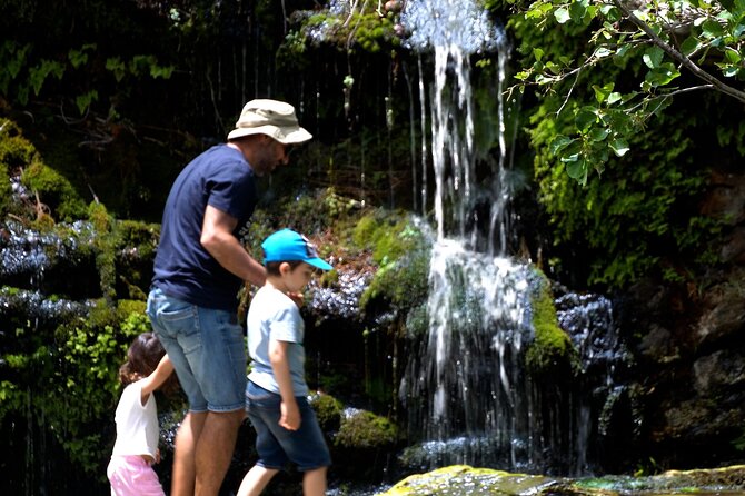 Andros Town, Pythara Waterfall, Menites Springs: Half-Day Tour - Traveler Information