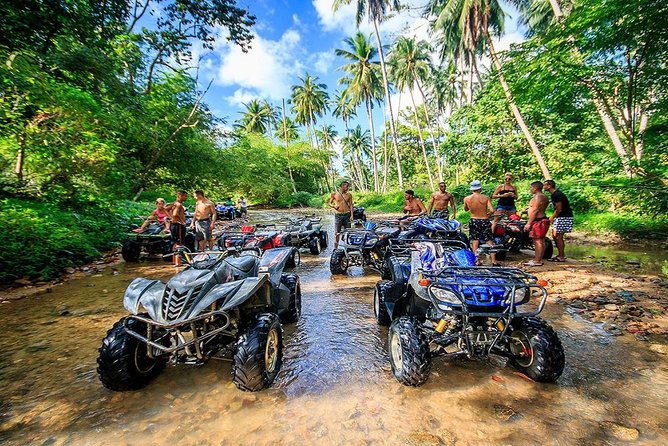 ATV Bike 1 Hr Skyline Adventure 28 Platforms - Company Details