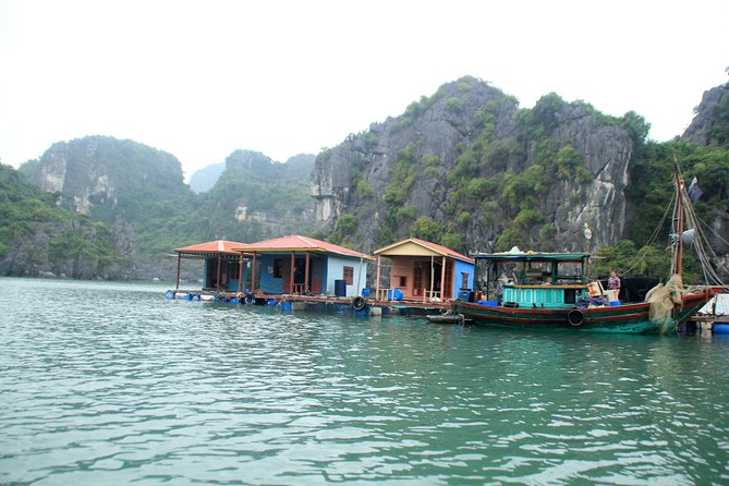 Bai Tu Long Boutique & Budget Cruise 2D: Kayaking, Swimming at Pristine Palaces - Relaxing Tai Chi Sessions