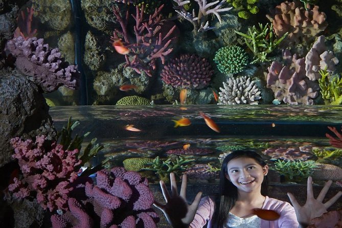 Bangkok Sea Life Ocean World Entrance Tickets Only - Booking Information