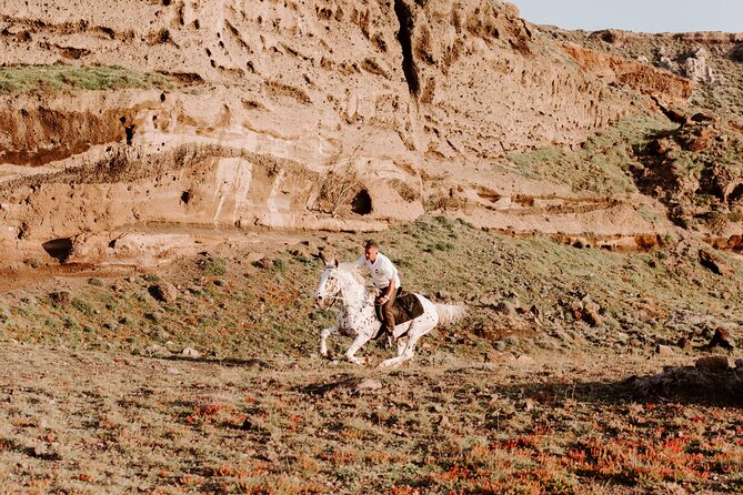 Beach Gallop - Horse Riding Safari for Experienced Riders - Weather and Activity Conditions