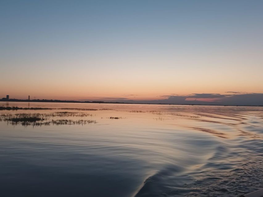 Birdwatching: in Laguna Di Venezia - Safety Guidelines and Restrictions