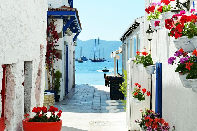 Bodrum Shore Excursion: Private Bodrum Express Sightseeing Tour - Booking Assistance