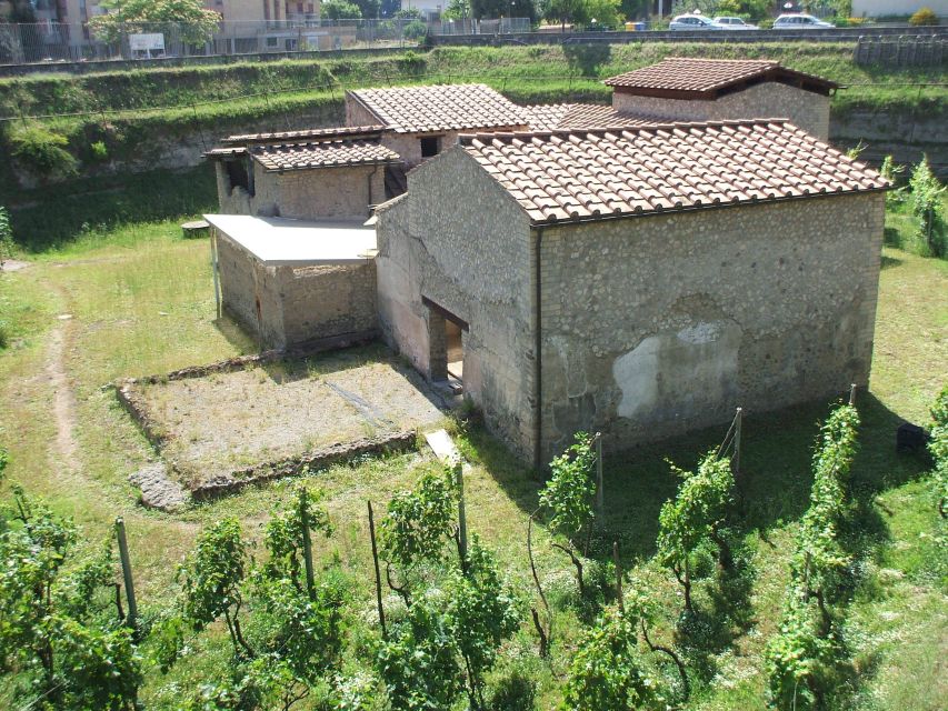 Boscoreale: Antiquarium & Villa Regina Private Tour - Meeting Point Details