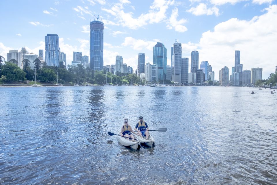 Brisbane: Guided River Kayak Tour - Customer Reviews