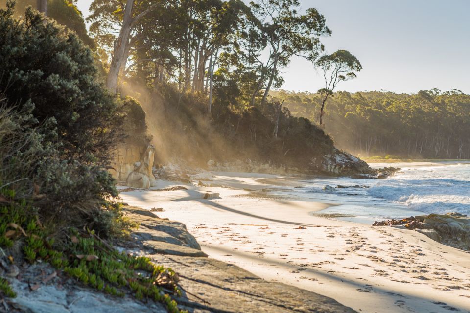 Bruny Island Day Trip From Hobart - Experience Highlights