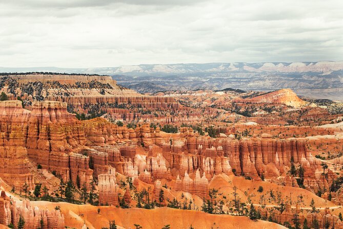 Bryce Canyon Full Day Private Tour and Hike - Reviews and Ratings