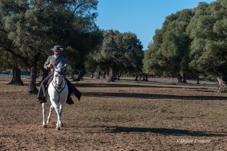 Cadiz: Andalusian Horses and Bulls Country Show - Customer Reviews