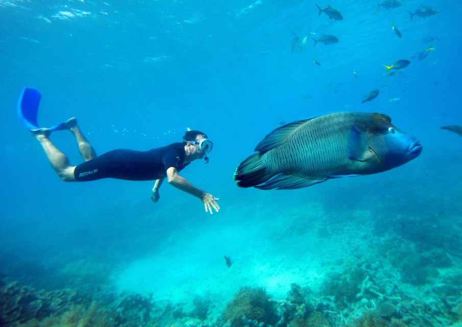 Cairns: Great Barrier Reef Cruise With Water Activities - Customer Reviews