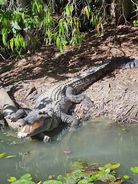 Cairns: Hartleys Crocodile Adventures Transfers and Return - Schedule