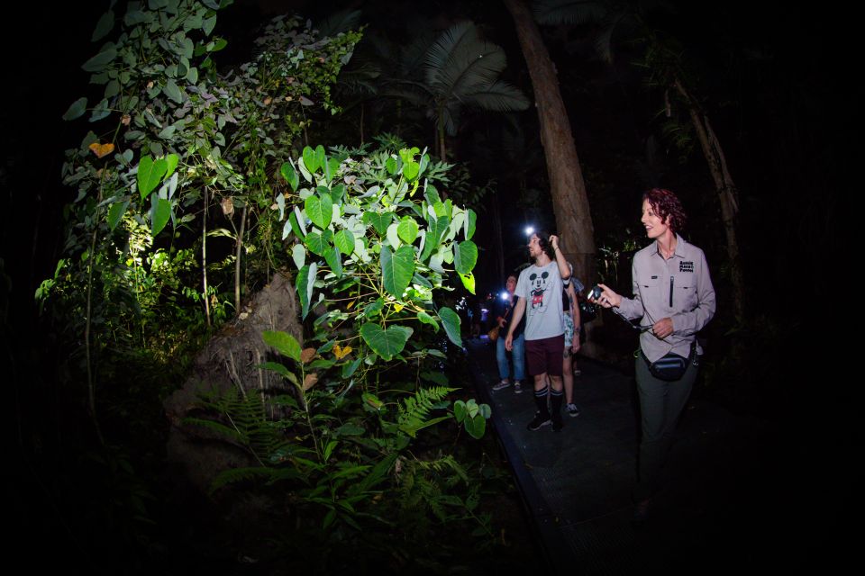 Cairns: Night Walk In Cairns Botanic Gardens