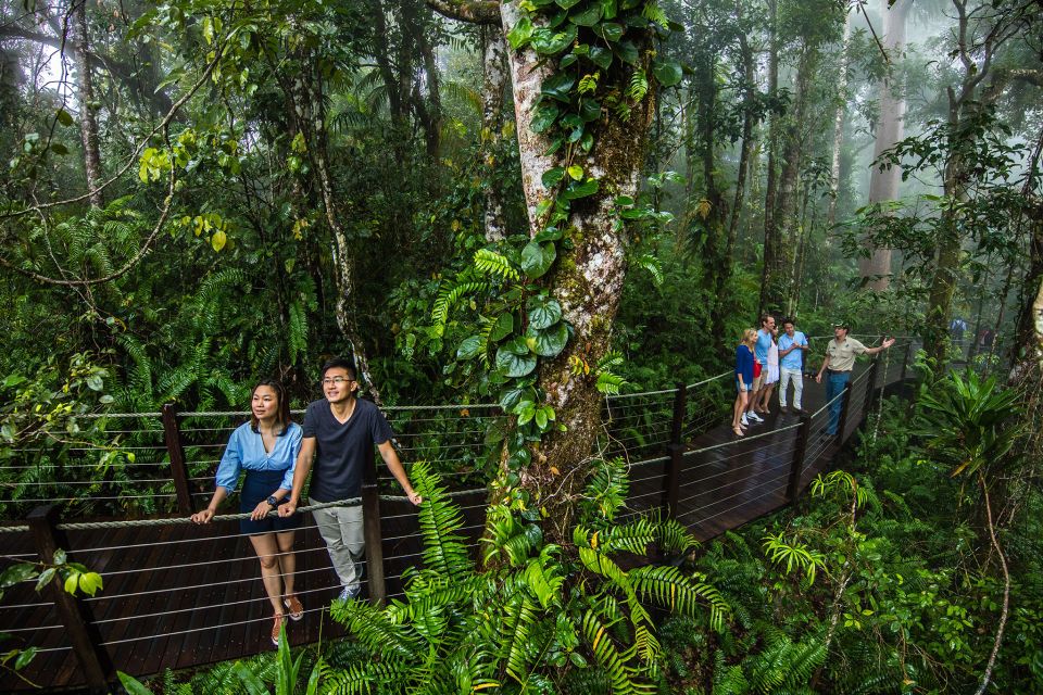 Cairns: Small Group Kuranda Tour via Skyrail and Scenic Rail - Important Information