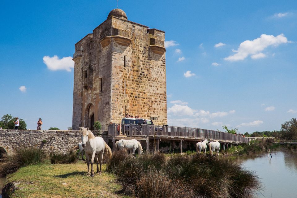 Camargue: Half-Day 4x4 Guided Safari Adventure - Safari Description Highlights