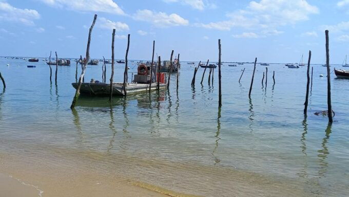 Cap-Ferret With Oysters Tasting - Culinary Experience With Oysters and Shrimp