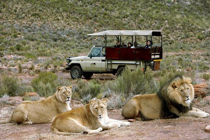 Cape Town Private, Inverdoorn Safari Tour - Overnight With Accommadation - Contact and Support